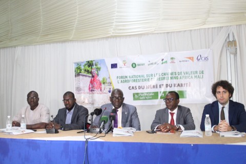 Forum national sur les chaînes de valeur de l'agroforesterie de regreening Africa Mali