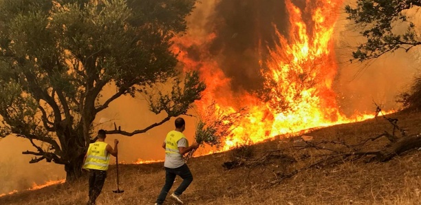 Le nord de l'Algérie meurtri par des incendies dans plusieurs villes