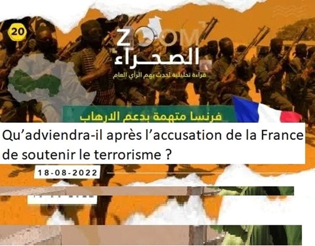 Fourniture d’armements aux groupes terroristes du Sahel :  Des pays occidentaux démasqués par Amnesty International