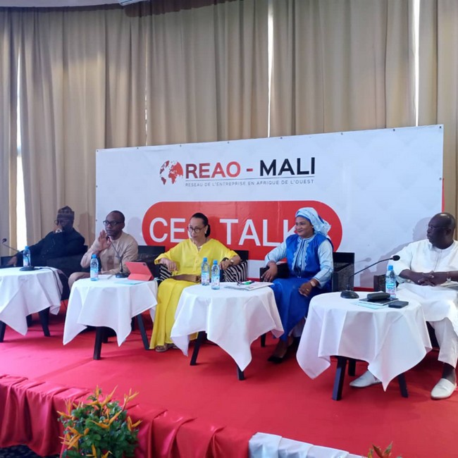 4ème  édition du CEO du REAO Mali :  La création d’entreprise au cœur  des débats