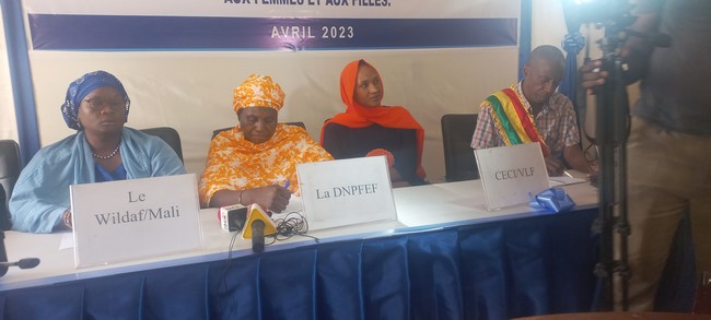 Lutte contre les  Violences faites aux femmes : WILDAF-Mali  plaide auprès des élus  de Bamako pour l’adoption d’une loi