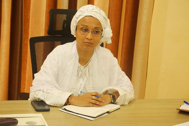 Energie renouvelable : Mme le ministre Bagayoko Aminata Traoré reçoit le Directeur de Green Energy Mali