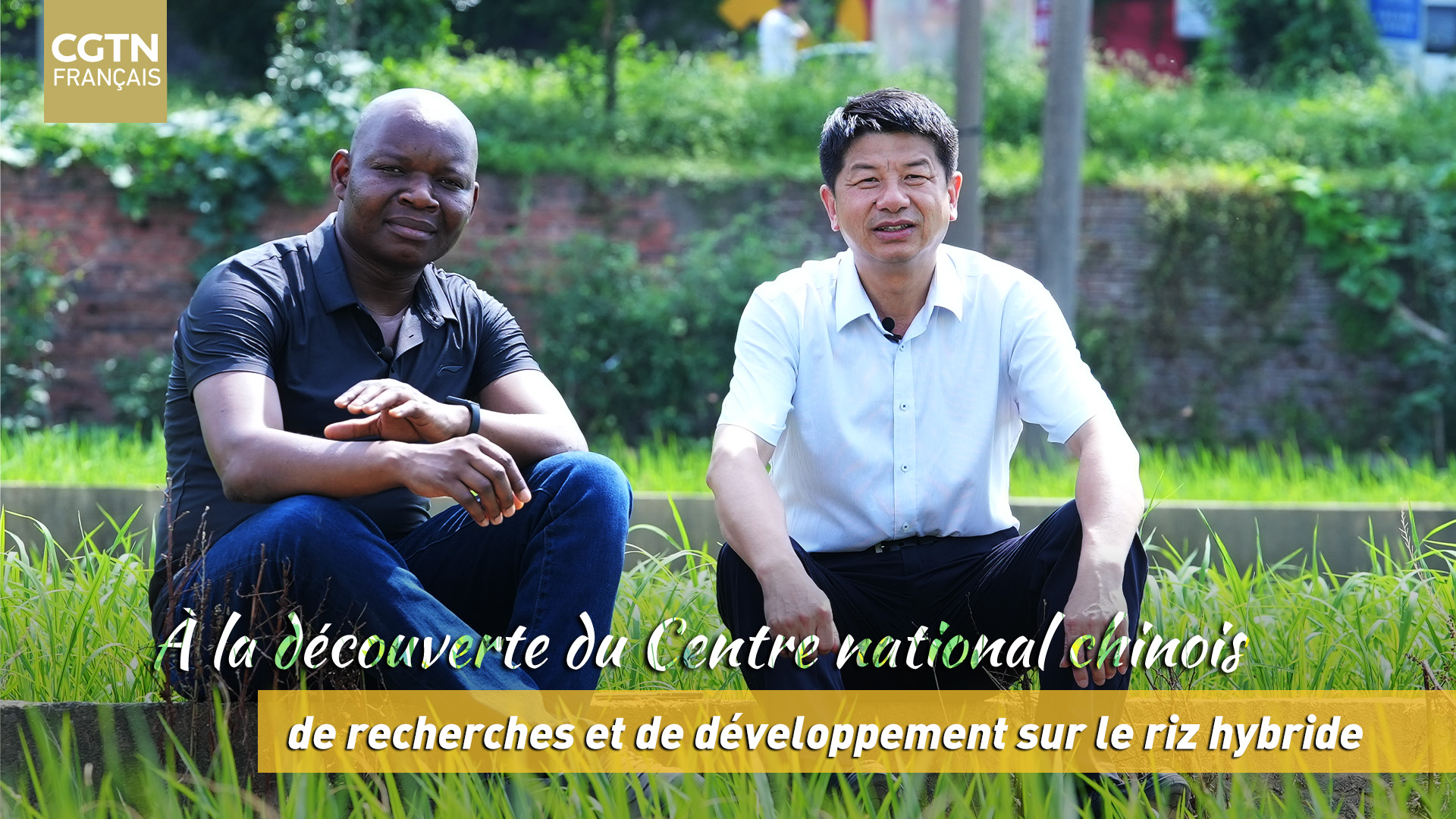 À la découverte du Centre national chinois de recherches et de développement sur le riz hybride