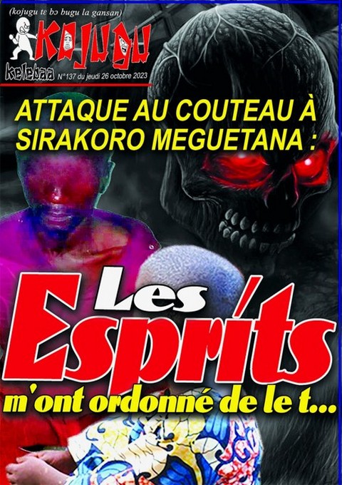 Attaque au couteau à Sirakoro Meguetana : *"Les esprits m'ont ordonné de le t...