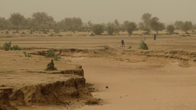 La Mauritanie et le Tchad ouvrent la voie à la dissolution de l'alliance antijihadiste G5 Sahel