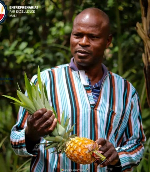 Le Mali à la croisée des chemins :    Rectifier la politique agricole pour briser les chaînes de la dépendance alimentaire