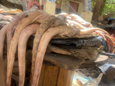 Marche de queue de bœuf :  Un business florissant