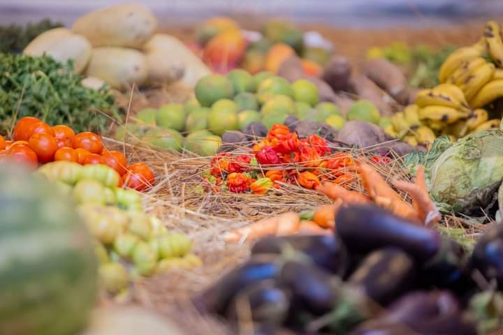 #Mali : 14è Session du Conseil supérieur de l'Agriculture : Les grandes décisions et les grands engagements du chef de l'État