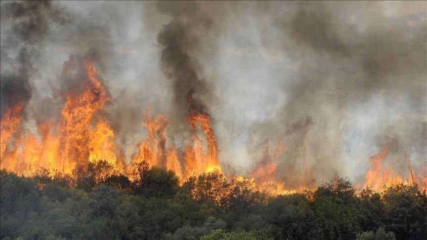 Maroc: un important incendie maîtrisé près de Tanger